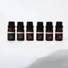 Set de aceites esenciales difusores transfronterizos, aceites esenciales solubles en aceite, aceites esenciales de extracto de planta, piedras difusoras y aceites esenciales de disulfuro