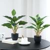 Amazon Plantas Verdes Simuladas Perennes En Maceta Flores de Plástico Adornos Decorativos de Pie para Escritorio en Casa Plantas Verdes Falsas