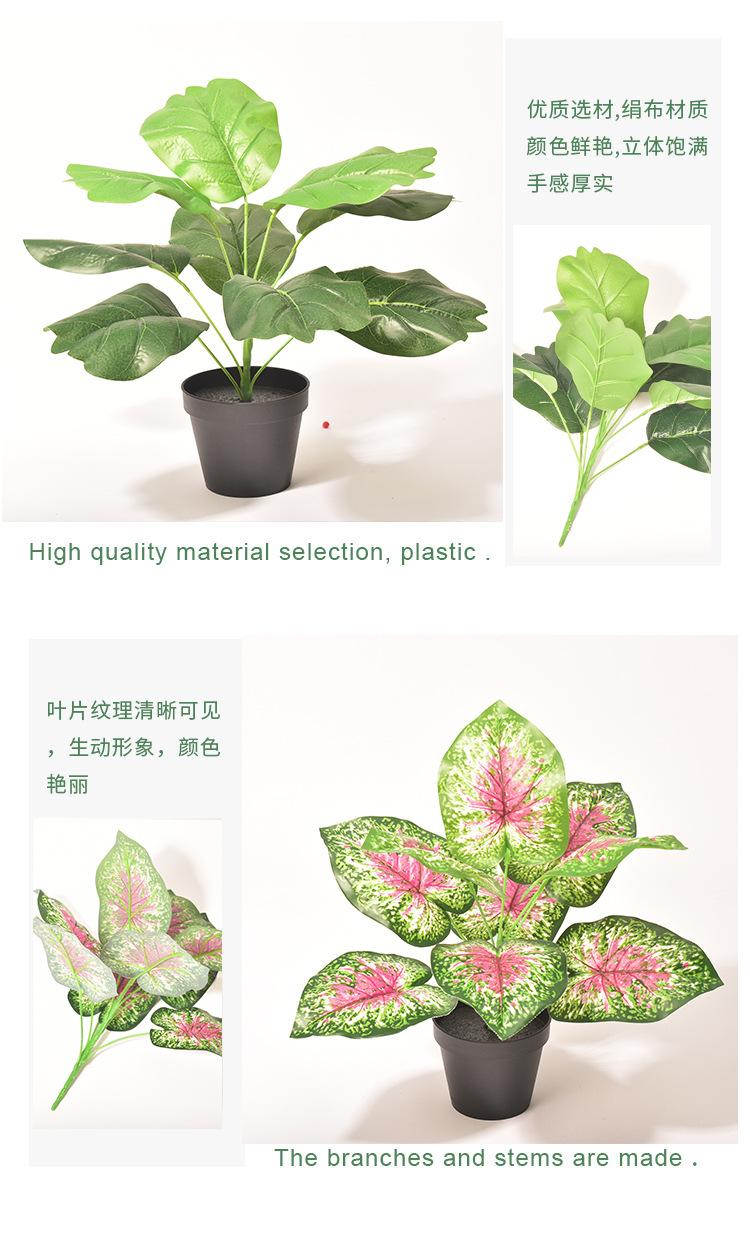 细节5