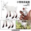 Regalo de Cumpleaños Navideño Transfronterizo Modelo de Animal Simulado Casa de Hielo Ciervo de Cola Blanca Conejo Set de Animales Polares Decoración de Pastel