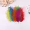 Balões Bobo da Moda Barraca de Mercado Noturno Balões Bobo Transparentes com Penas de Desenho Animado Brilhantes Brinquedos Infantis para Venda