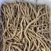 Codonopsis do Xizang Codonopsis do Xizang Codonopsis do Xizang Tiras Atacado e Dropshipping de Tiras de Codonopsis do Xizang