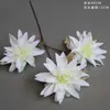 Flores Blancas Materiales Flores de Boda Flores de Seda Materiales Florales Decoración de Techo de Salón de Bodas Flores Flores Artificiales Flores para Arcos Arreglo Floral Arte Floral
