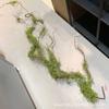 Fina Enredadera de Árbol Muerto Enredadera Verde Enredadera de Seda Planta Material de Pared Simulación Espumada Rama Muerta Cruzando el Río Dragón Brote Nuevo Enredadera Súper Realista