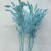 Amor-perfeito Pequeno Descolorido, Flores Eternas, Flores Secas, Materiais de Flores para DIY, Flores Preservadas, Buquês, Flores Reais, Decoração de Casa, Flores Artesanais