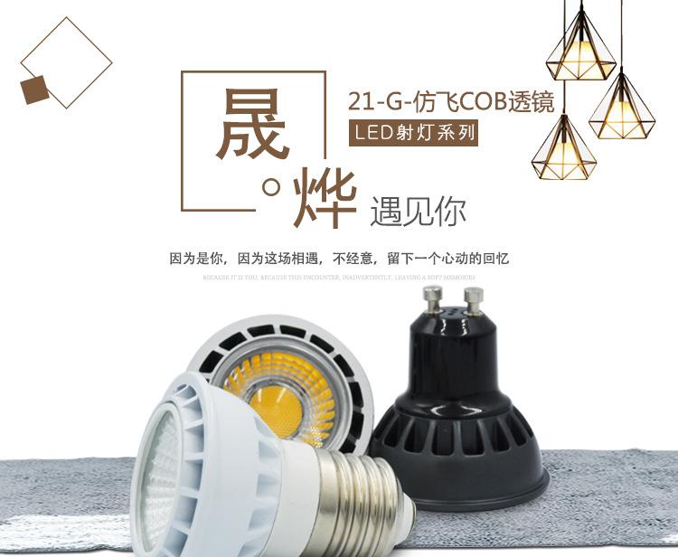 21-G-仿飞透镜_01