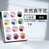 Accesorios para Nail Art Set Grande de Flores Secas 12 Colores Flores Decorativas Tridimensionales Stickers de Plantas para Uñas Doce Compartimentos Flores Reales