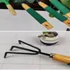 Kit de ferramentas de jardinagem três peças grande plantio família flores e suculentas morangos em vaso jardim doméstico pá ancinho
