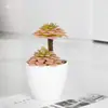 Plantas Verdes Simples Suculentas de Plástico em Vaso Ornamento para Sala de Estar Mesa de Jantar Flores Artificiais Decorações Ornamento Flores Biomórficas