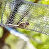 Gaiola Pista de Corrida para Esquilos, Casa de Madeira em Área Cênica, Área de Exposição para Animais Pequenos, Playground Berçário para Pets, Gaiola de Ferro de Aço Inoxidável à Prova de Ferrugem