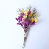 Flores Secas Transfronterizas, Gypsophila, Flores de Cristal, Mini Ramos, Ramos de Punta de Dedo Mezclados y Combinados, Cajas de Regalo, Decoraciones para Tarjetas de Felicitación