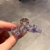 Pinza de Garra de Cristales Exquisitos Súper Brillantes Base Transparente Pinza para Medio Recogido 2026 Nuevo Estilo Coreano Pinza Lateral de Gama Alta Accesorio para el Cabello