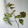 11 Folhas de Chuva de Primavera Bifurcadas, Folhas de Lírio de Cala Simulado, Folhas de Casamento na Floresta, Plantas Verdes Impressas em 3D, Plantas Simuladas para Decoração de Casa
