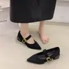 Otoño 2026 Estilo Coreano Punta Fina Tacones Altos Corte Bajo Correa Única Zapatos Mary Janes para Mujer Versátiles Tacón Grueso Zapatos Individuales para el Trabajo