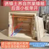 Colmeia de abelha chinesa criada no solo favo natural colmeia estilo antigo colmeia de apicultura criada no solo atrair abelhas chamar abelhas colmeia atrair abelhas colmeia tábua de madeira de abeto colmeia de abelha mel