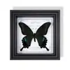 Adorno de Marco de Espécimen de Mariposa Real Grande con Rayas Verdes, Valioso y Raro, Pieza de Exhibición de Decoración para el Hogar Moderno de Madera Natural, Decoración Creativa