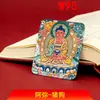 Núcleo de Pintura Thangka Pintado à Mão Sem Embelezamento Dourado, Pingente da Montanha Wutai, Signo de Serpente, Colar Tridimensional Dainichi Amitabha Atacado