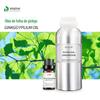 Fornecimento direto da fábrica de óleo de folha de ginkgo spot óleo essencial de folha de ginkgo óleo de massagem vegetal matéria-prima química diária maquiagem medicina