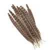 Venda Direta de Fábrica de Quase 100 Tipos de Acessórios Naturais de Penas Pequenas para Joias DIY, Acessórios de Cabeça, Broches, Chapéus, Materiais de Decoração para Artesanato
