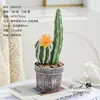 Bonsai de combinação de cactos, flores artificiais, plantas tropicais, plantas em vaso, decorações de interior, cactos suculentos de alta qualidade para vendas transfronteiriças