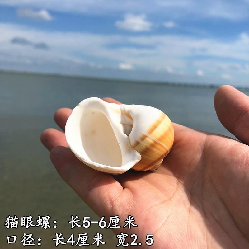 QQ图片20190901111544 (2).jpg
