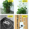 Fijador de Vid de Planta Verde, Dispositivo de Escalada para Pared, Gancho, Clip de Fijación de Alambre, Clip para Dar Forma a Plantas Trepadoras