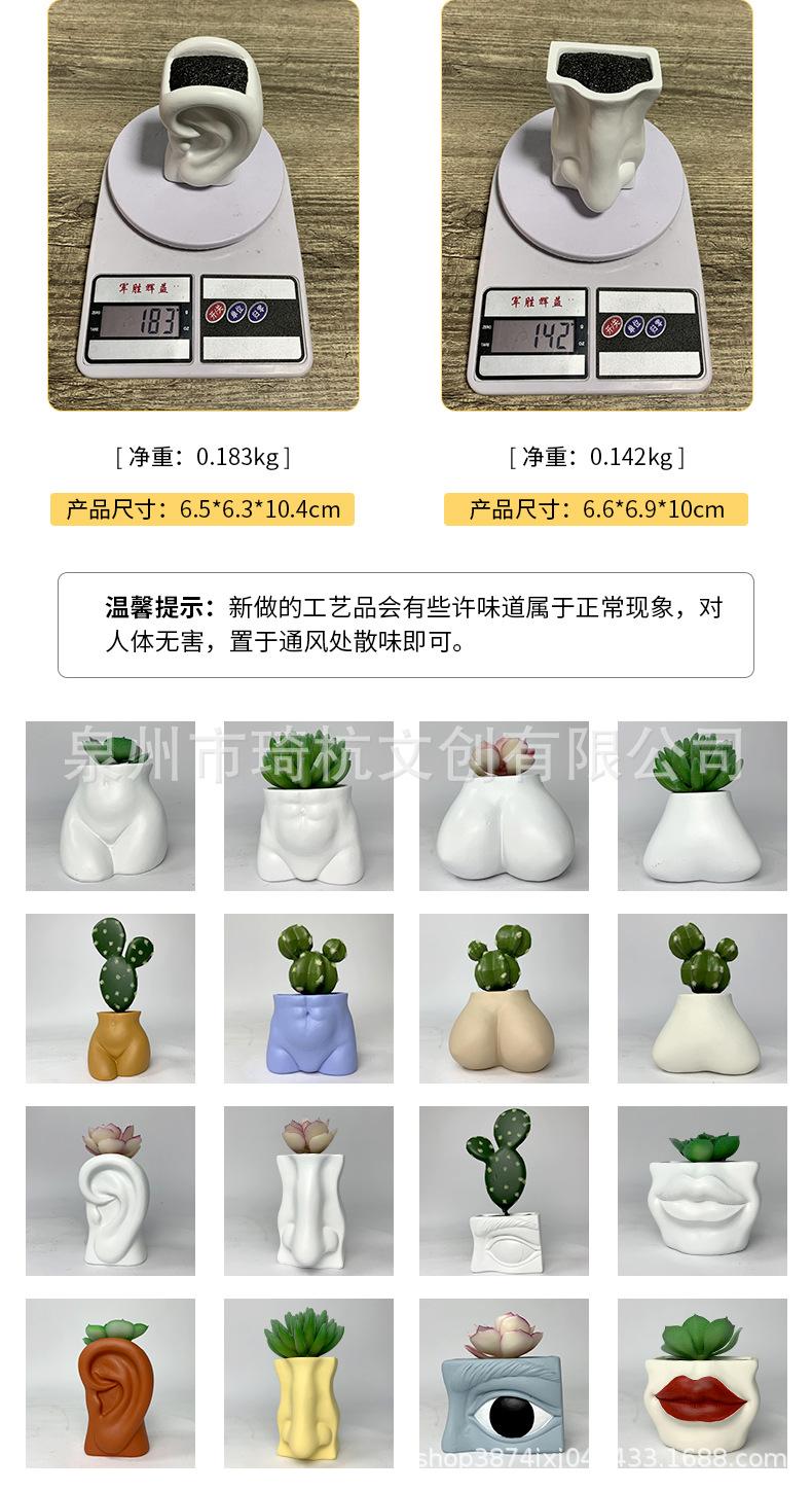 多肉_08.jpg