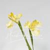 Arranjo de Cena de Flores Artificiais com 2 Íris, Flores Falsas para Decoração de Casa, Flores Decorativas para Casamentos, Materiais para Arranjo de Flores Artificiais