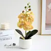 Flores artificiales con 5 flores y 2 frutas, tacto realista, bonsái pequeño de Phalaenopsis, plantas artificiales en maceta, decoración de interior, maceta verde