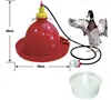 Dispositivo Automático de Agua Potable Prasong Poultry para Pollo, Pato y Ganso Dispositivo Automático de Agua Potable para Ganadería de Animales de Corral y Maquinaria de Cría de Granjas de Pollos