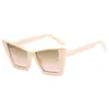 Nuevas Gafas de Sol Elegantes Ojo de Gato Tendencia Celebridad de Internet Ins Hip-Hop Marco Grande Gafas de Sol de Moda Transfronterizas para Mujer