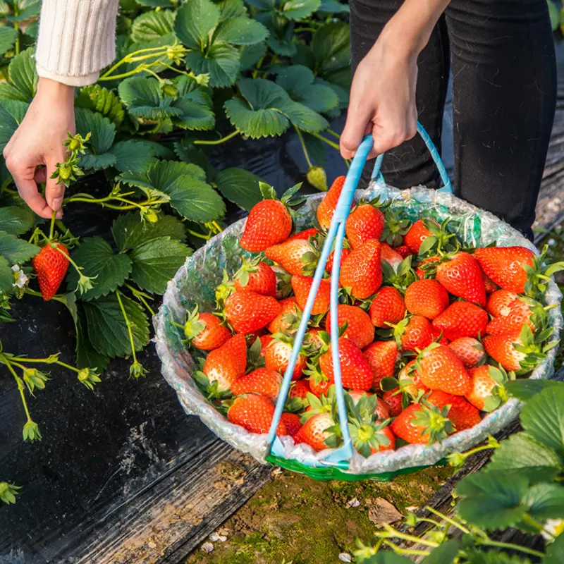 O1CN01iqADrR2ByuiZJJLih_!!3781