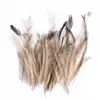 80 Tipos de Penas Naturais de Faisão, Penas Reais, Decorações Nativas Americanas, Acessórios DIY, Acessórios de Cabelo, Peças para Brinquedo de Vara para Gato