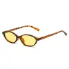 Óculos de Sol Europeus e Americanos Pequenos de Armação Oval Estilo Gatinho Populares na Rua de Comércio Exterior Moda Influencer Personalidade Óculos de Sol