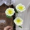 Plantas Verdes Artificiais para Casamento, Grama Aspargo Verde Estilo Floresta, Flores Artificiais Verdes, Materiais Florais Artificiais para Casamento, Série de Decoração para Salão de Casamento