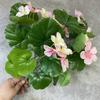 Fábrica atacado 5 garfo Begonia buquê de flores casamento decoração decoração simulação buquê casamento flores falsas arranjo de flores acessórios