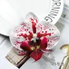 Flores Artificiais de Orquídea Phalaenopsis Lembrancinha de Casamento DIY Pequeno Ornamento Grampo de Cabelo Decorativo Adorno de Cabeça Adereço para Fotografia