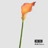 Lirio de Calla Artificial de Eva con Alto Realismo y Tacto Realista, Flor Artificial de Tallo Único para Decoración del Hogar y Arreglos Florales, Transfronterizo