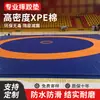 Tapete de Luta, Artes Marciais, Sanda, Taekwondo, Luta, Grappling, Tapete de Treinamento para Competição de Judô, Cobertura de Luta Livre