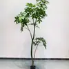 Venta al por mayor de fábrica árbol de la fortuna de simulación árbol falso planta de simulación planta verde de sentido avanzado decoración de hogar hotel flores artificiales