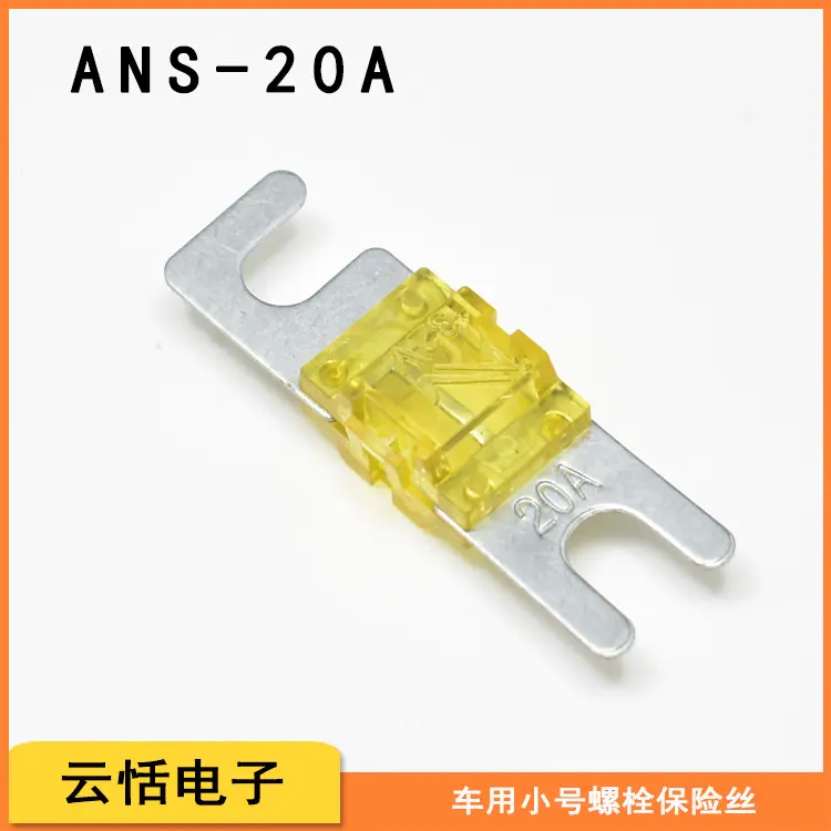 ANS20A.jpg