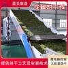 Secador de pimiento automático tipo oruga, secador de pimiento verde de Sichuan, línea de producción de secado con banda de malla grande