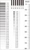 Régua de Filme com Medidor de Pontos, Cartão de Manchas com Medidor de Linha de Pontos, Régua de Comparação de Manchas e Rachaduras, Folha de Comparação Padrão de Inspeção