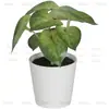 En Stock Hoja Única de Planta Verde Plástico Bonsái Decoración del Hogar Amazon Escritorio Maceta Adorno Pequeño Fabricante de Comercio Exterior