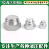4B Accesorios Hidráulicos para Tuberías de Aceite de Alta Presión Rosca Cono Interno de 60 Grados Tapón Tapón de Aceite Sello de Aceite Rosca Interna y Externa Tapón Pulgada