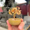Árbol de la Fortuna de Citrino Adorno en Maceta Lugar Escénico del Templo de Beijing Árbol de la Fortuna de Cristal Natural Cultural y Creativo Regalo Atractor de Riqueza