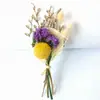 Flores Secas Transfronterizas de Amazon, Flores Preservadas, Mini Ramos, Mini Boutonnières, Cajas de Regalo y Ramos Listos