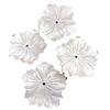 Esculpido shell flor branco prato shell 25mm multi-dente flor solta contas jóias cocar acessórios DIY lote de material artesanal