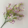 Sensación al tacto de flor de estrella egipcia simulación flor artificial arreglo floral de jardín decoración del hogar simulación manojo de estrella egipcia accesorios adornos