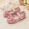 Zapatos de fiesta de rendimiento para niñas, multicolor, suela suave, antideslizantes, con correa de lazo, estilo princesa dulce, zapatos de una sola pieza